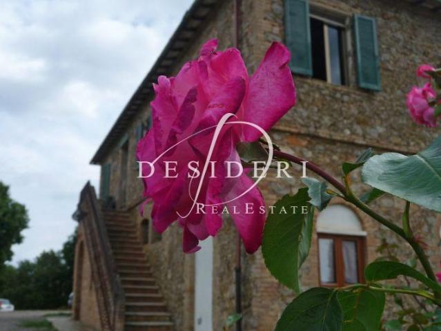Azienda agricola in vendita a Civitella Paganico