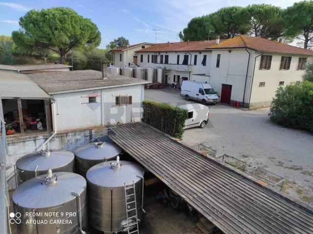 Azienda agricola in vendita a Empoli