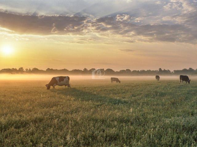 Azienda agricola in vendita a Fiorenzuola D'Arda
