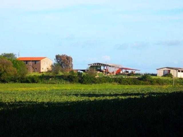 Azienda agricola in vendita a Gavorrano