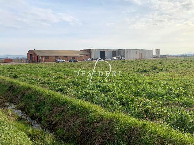 AZIENDA AGRICOLA in VENDITA a GROSSETO PRINCIPINA A TERRA