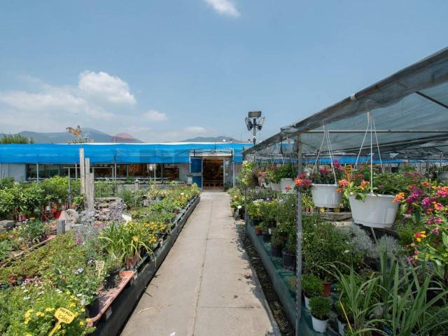 Azienda agricola in vendita a Iseo