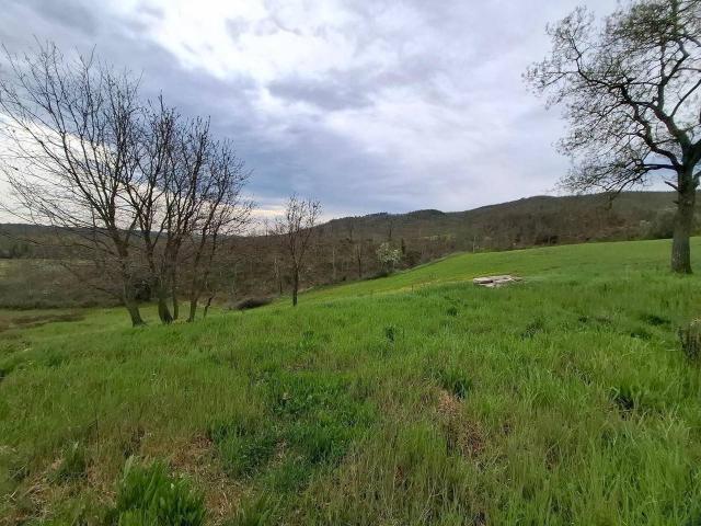 Azienda agricola in vendita a Manciano