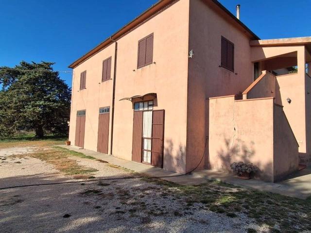 Azienda agricola in vendita a Manciano