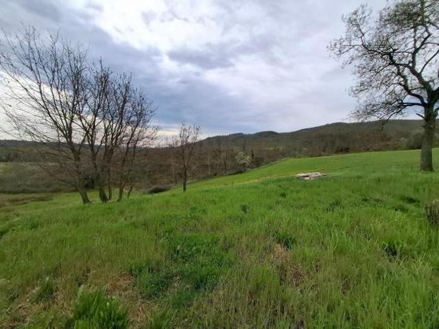 Azienda agricola in vendita a Manciano 360000 mq Rif: 1405831