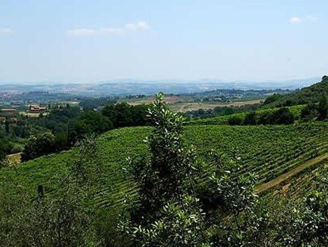 AZIENDA AGRICOLA in VENDITA a MONTEPULCIANO CHIANCIANO TERME