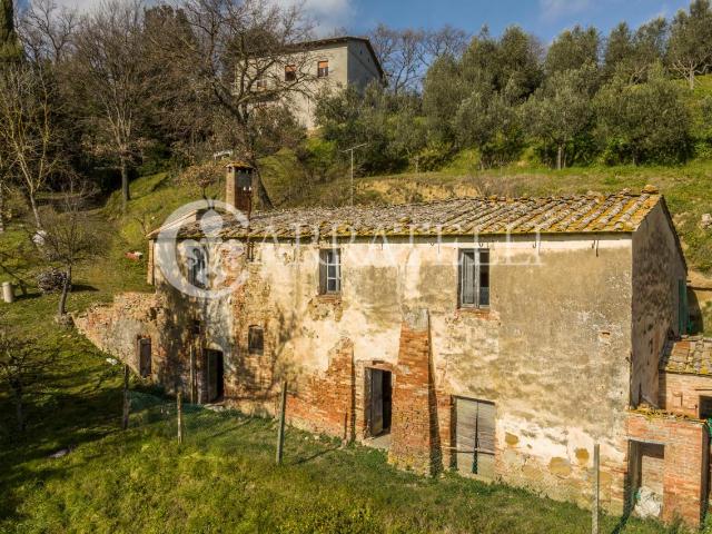Azienda agricola in vendita a Montepulciano