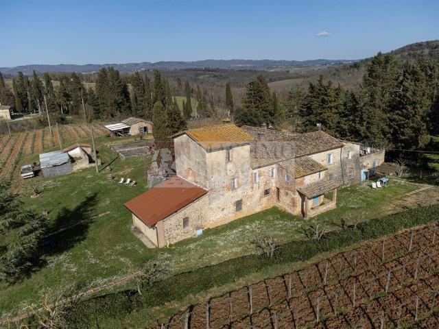 Azienda agricola in vendita a Monteriggioni
