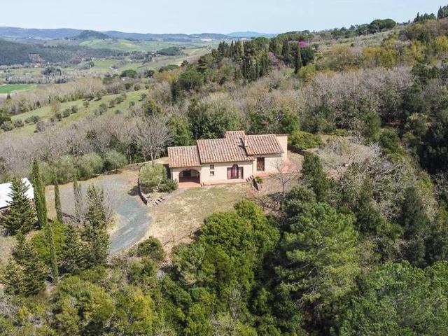 Azienda agricola in vendita a Montescudaio