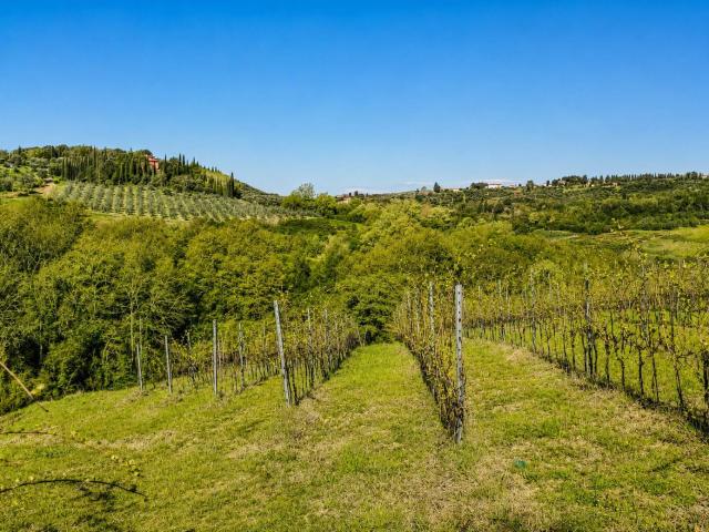 Azienda Agricola in vendita a Montespertoli