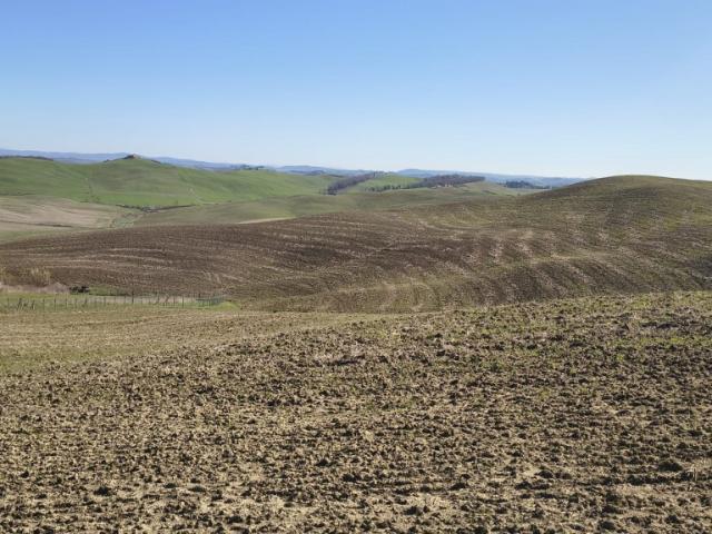AZIENDA AGRICOLA in VENDITA a MURLO VESCOVADO
