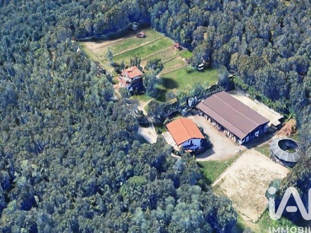 Azienda agricola in vendita a Muscoline