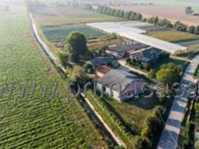 Azienda agricola in vendita a Oppeano