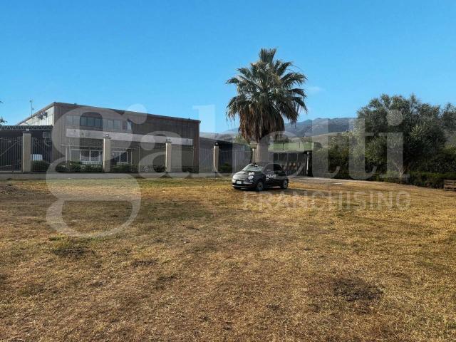 Azienda agricola in vendita a Pastorano