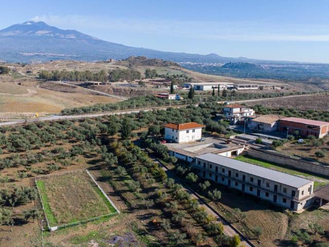 Azienda agricola in vendita a Paterno'