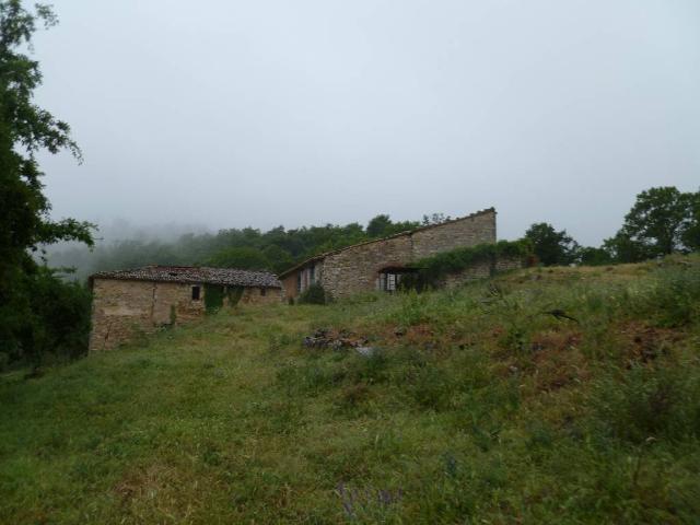 AZIENDA AGRICOLA in VENDITA a PIEGARO PIEGARO