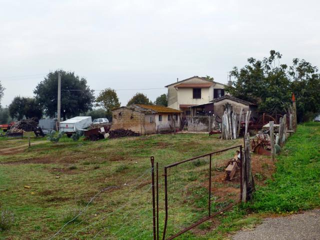 AZIENDA AGRICOLA in VENDITA a PITIGLIANO VALLE DEL FIORA