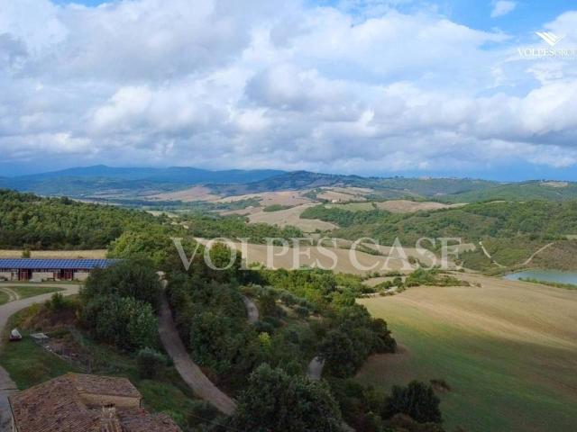 Azienda agricola in vendita a Radicondoli