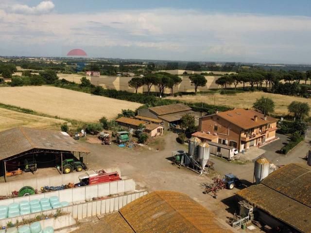 Azienda agricola in vendita a Roma