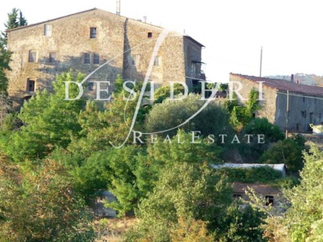 AZIENDA AGRICOLA in VENDITA a ROCCALBEGNA CANA
