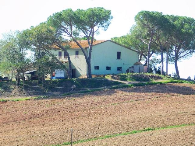 Azienda agricola in vendita a Roccastrada