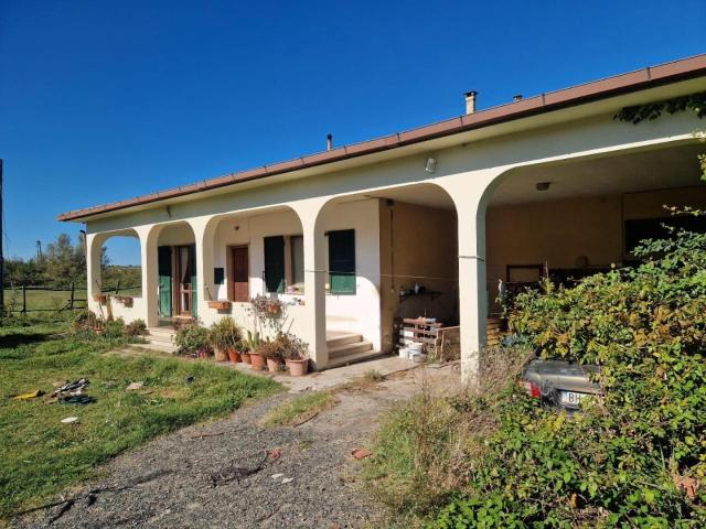 Azienda agricola in vendita a Cecina