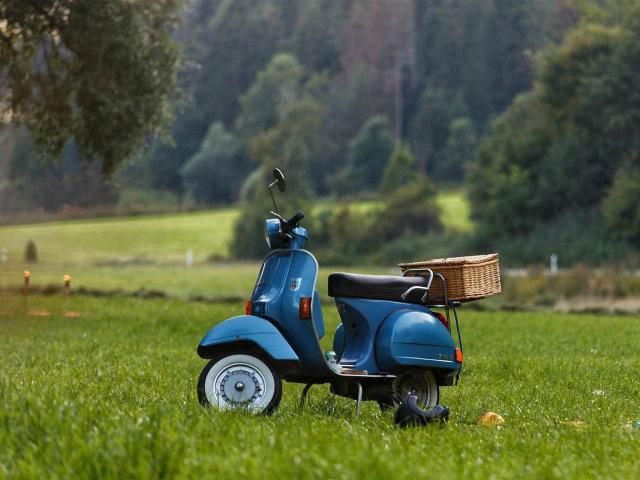 Azienda agricola in vendita a Scandicci