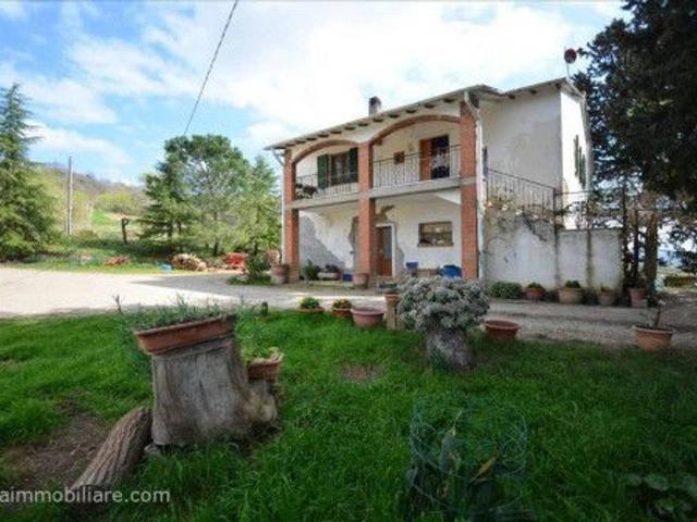 Azienda agricola in vendita a Scansano