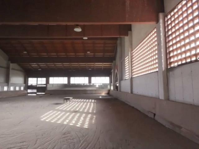 Azienda agricola in vendita a San Bonifacio