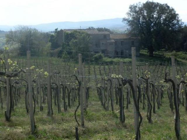 Azienda agricola in vendita a San Gimignano 2090000 mq Rif: 638396