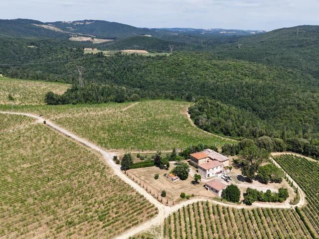 Azienda agricola in vendita a San Gimignano