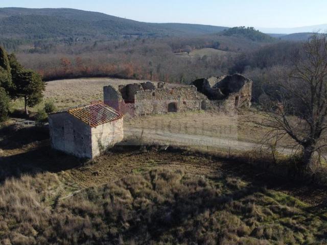 Azienda agricola in vendita a San Gimignano