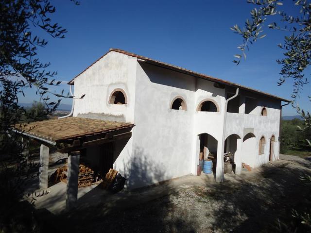 AZIENDA AGRICOLA in VENDITA a SAN MINIATO