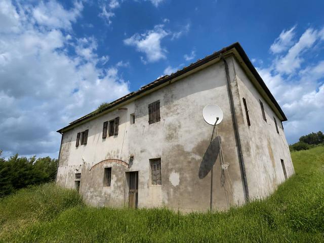 Azienda agricola in vendita a San Miniato