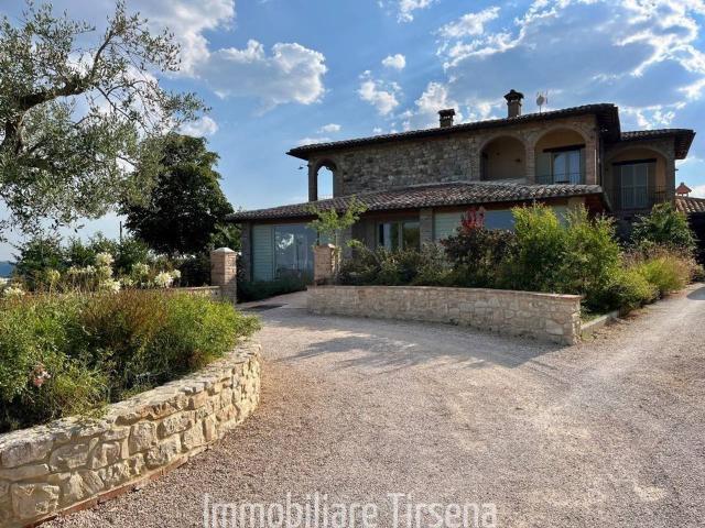 Azienda agricola in vendita a San Venanzo