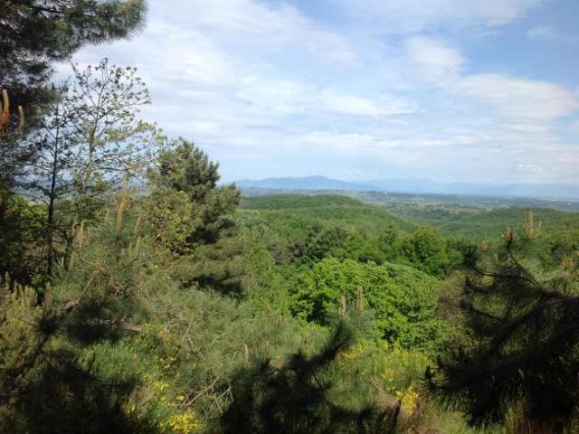 Azienda agricola in vendita a San Vivaldo Montaione 450000 mq Rif: 1200013