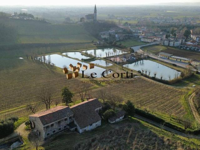 Azienda agricola in vendita a Sarego
