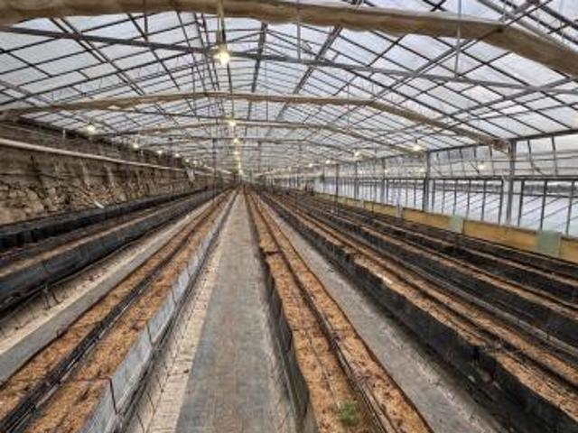 Azienda agricola Rif. 130