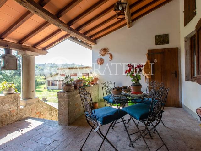 Azienda agricola vitivinicola nella zona del Chianti Rufina. 1203m² Pelago