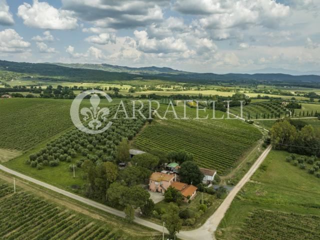 Azienda agricola vitivinicola perfettamente avviata con 740. 740m² Roccastrada
