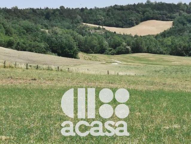 AZIENDA AGRICOLA