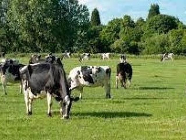 AZIENDA AGRICOLA