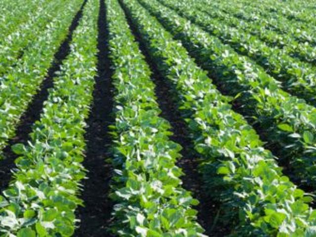 Azienda Agricola 30 km a Ovest di MI