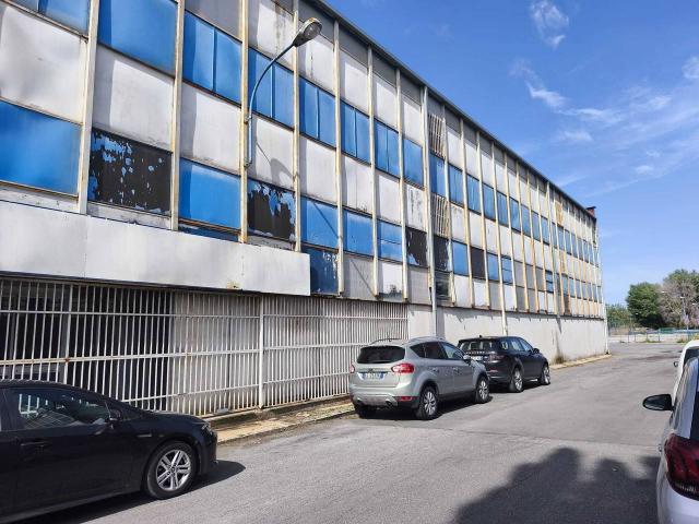 Azienda in affitto a Roma