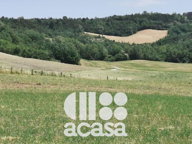 Azienda in vendita a Mercato Saraceno