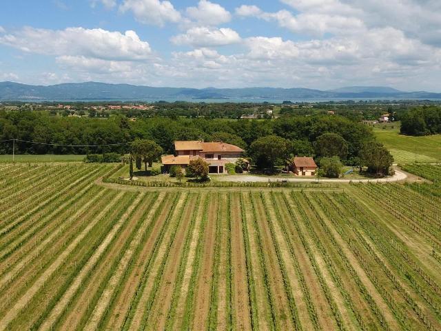 Azienda Vinicola La Vignaiola T8ai 500m² Castiglione del Lago