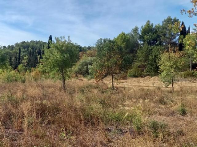 Azille Vente Terrain 11
