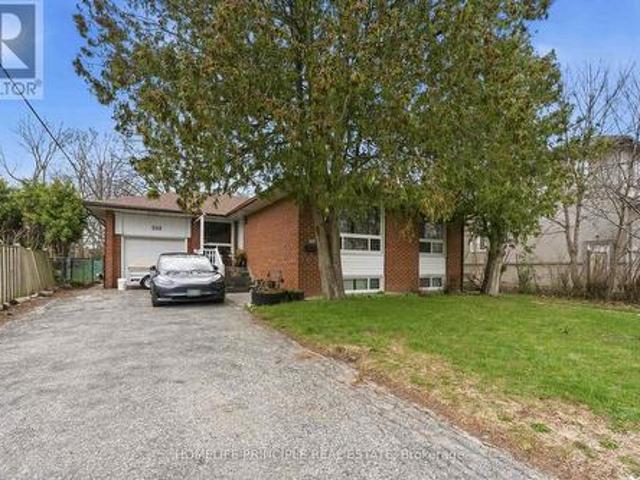 B1 Bsmt 116 Shaftesbury Street, Toronto, ON, M3H 5L9 house for lease | Listing ID C13047 | Royal LePage