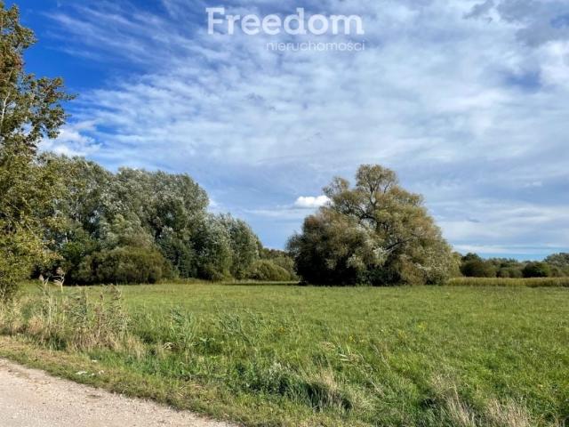 Błotna 1 197 m², Dziekanów Polski