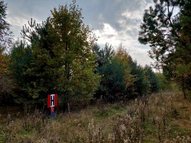 Błotnia 5 003 m², Błotnia